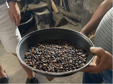 Kahve Çekirdeğinin Çekirdekten Demlemeye Gitme Sürecini Öğrenmek
        